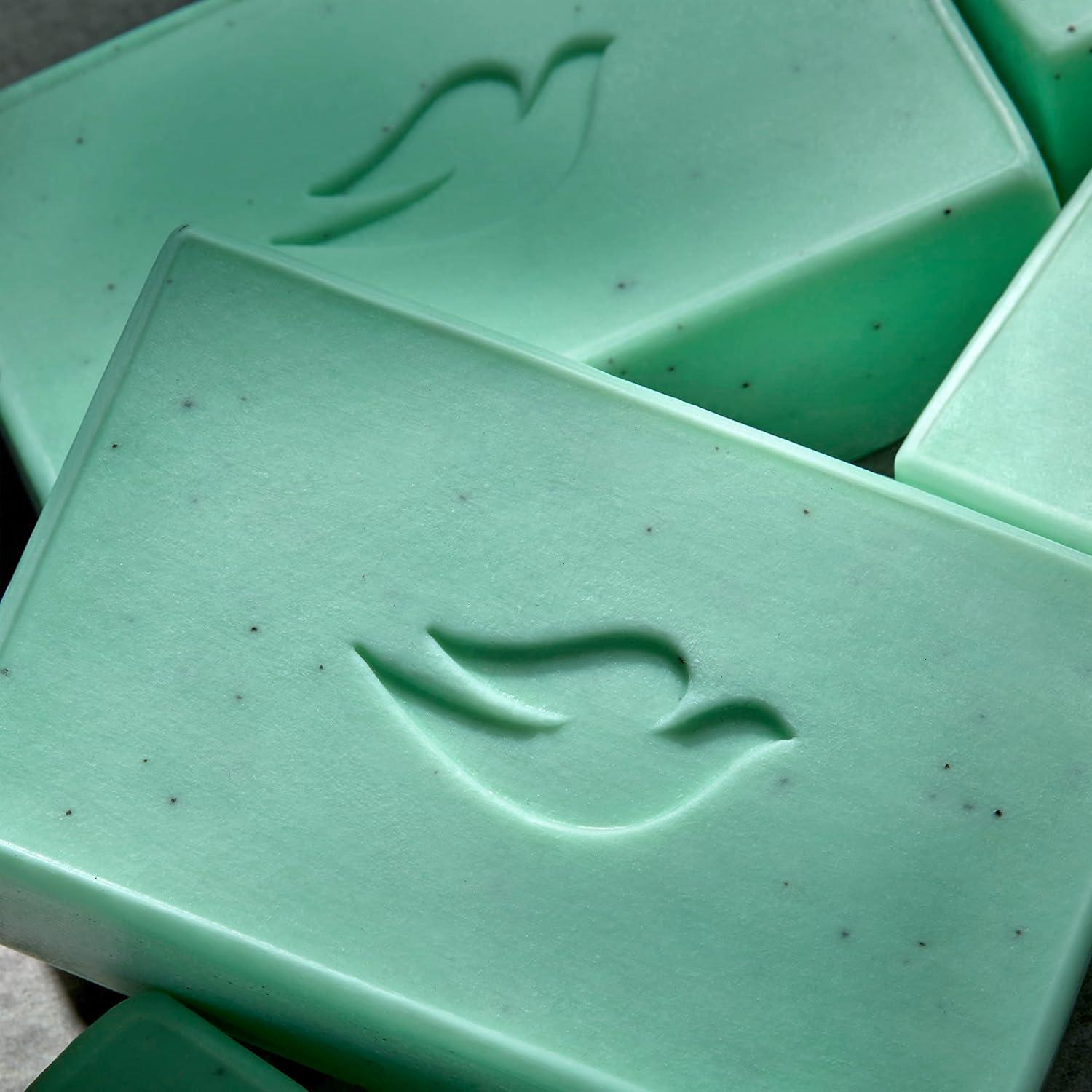 imageDOVE MEN CARE PlantPowered Natural Essential Oil Bar Soap Reinvigorating Lime Avocado Oil to Clean and Hydrate Mens Skin 4in1 Bar Soap for Mens Body Hair Face and Shave 5 oz 4 CountLime Avocado Oil