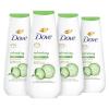 20 Fl Oz (Pack of 4)