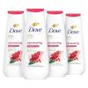 20 Fl Oz (Pack of 4)