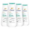 20 Fl Oz (Pack of 4)