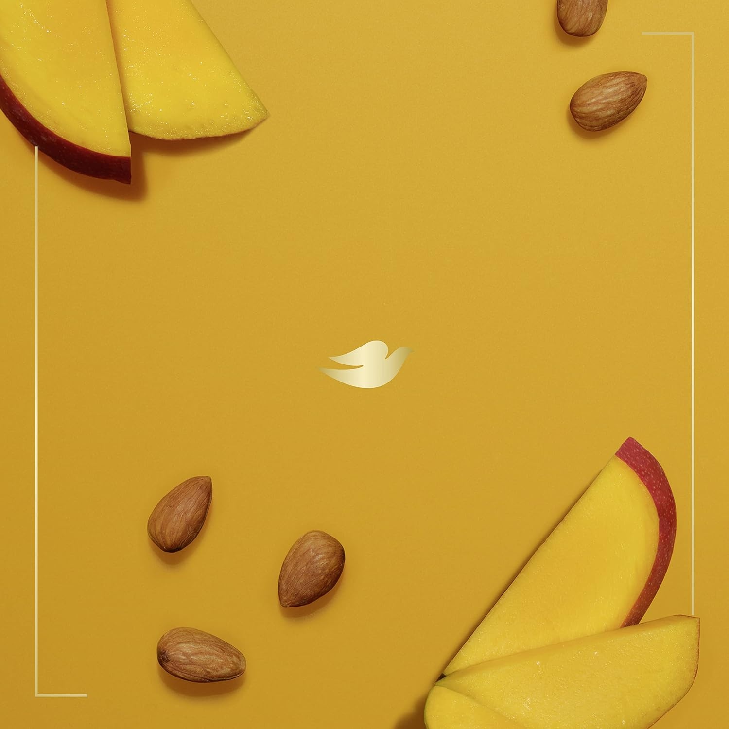 image:imageDove Body Wash with Pump 3 Count Glowing Mango amp Almond Butter for Renewed HealthyLooking Skin Gentle Skin Cleanser with 24hr Renewing MicroMoisture 306 ozMango and Almond Butters